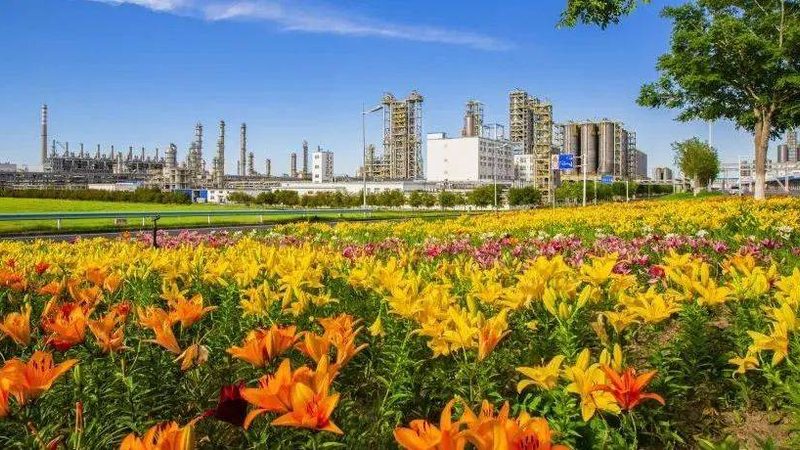 阳离子表面活性剂：揭秘其作用与选择要点