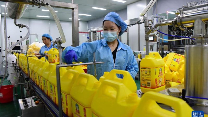 涂料用精细化工产品：参数、材质分类详解